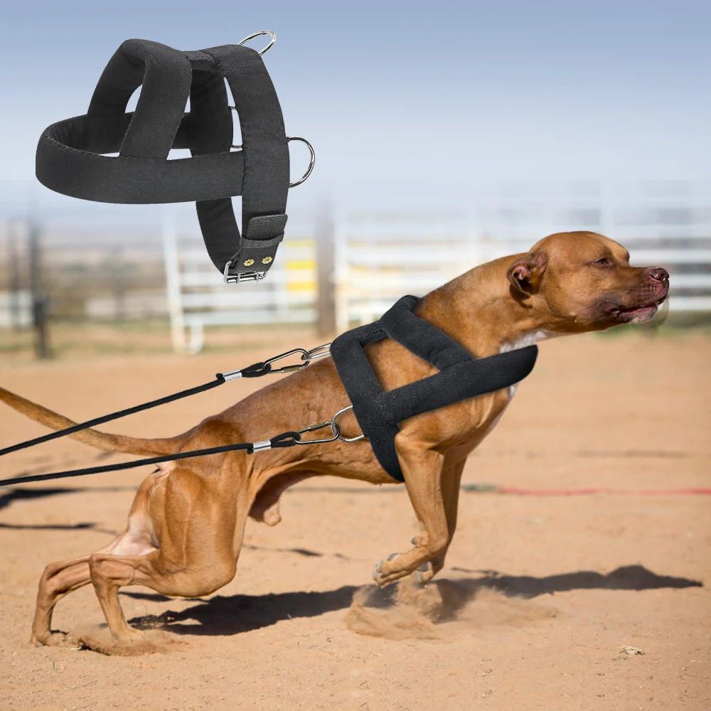 Soft Padded Dog Weight Pulling Harness