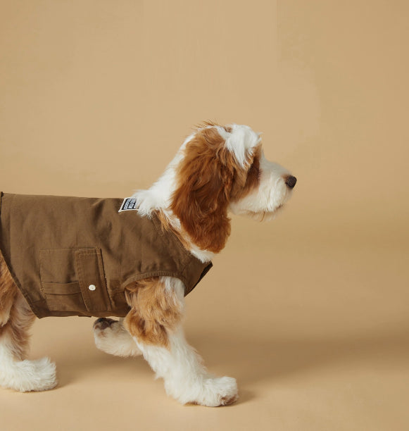 Spring And Summer Pet Sports Vest