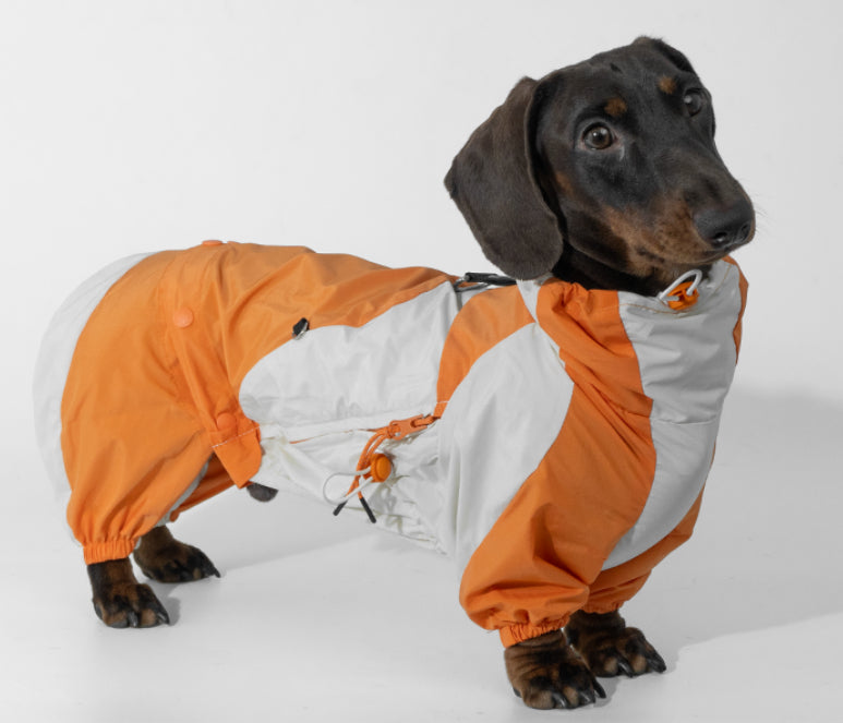 Winter Color Matching Pet Clothes