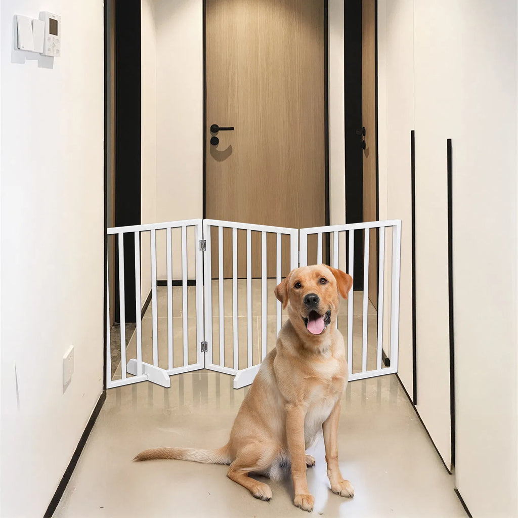 The Wooden Dog Fence White