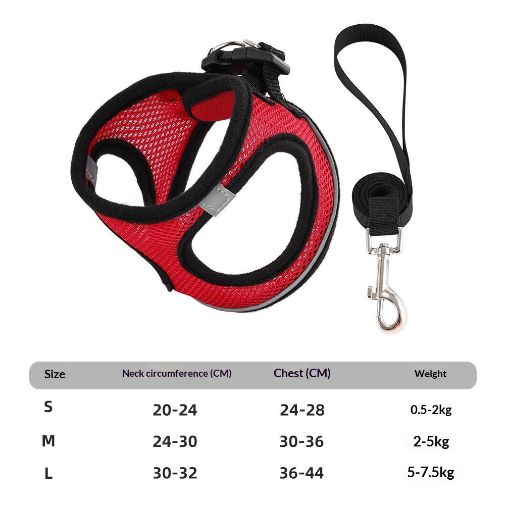 Vest-Style Mesh Harness and Leash Set