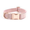 Velvet Rose Gold Dog Collar Leash