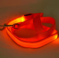 Glowing LED Dog Leash