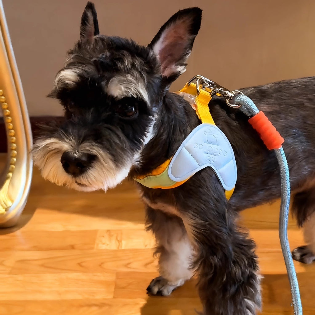 Vest-Style Dog Harness with Chest Strap