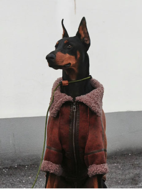Winter Velvet-Lined Leather Big Dog Coat