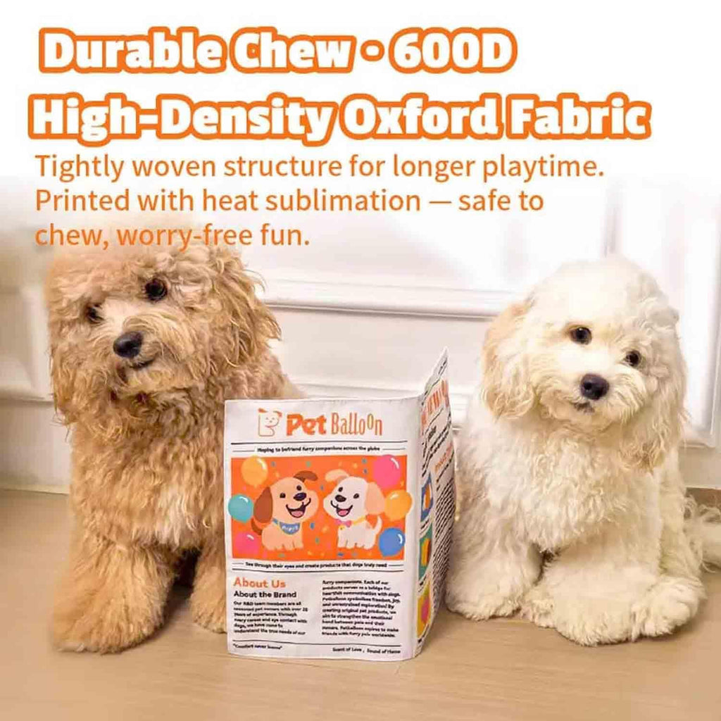 2-Pack Newspaper Crinkle Dog Toy