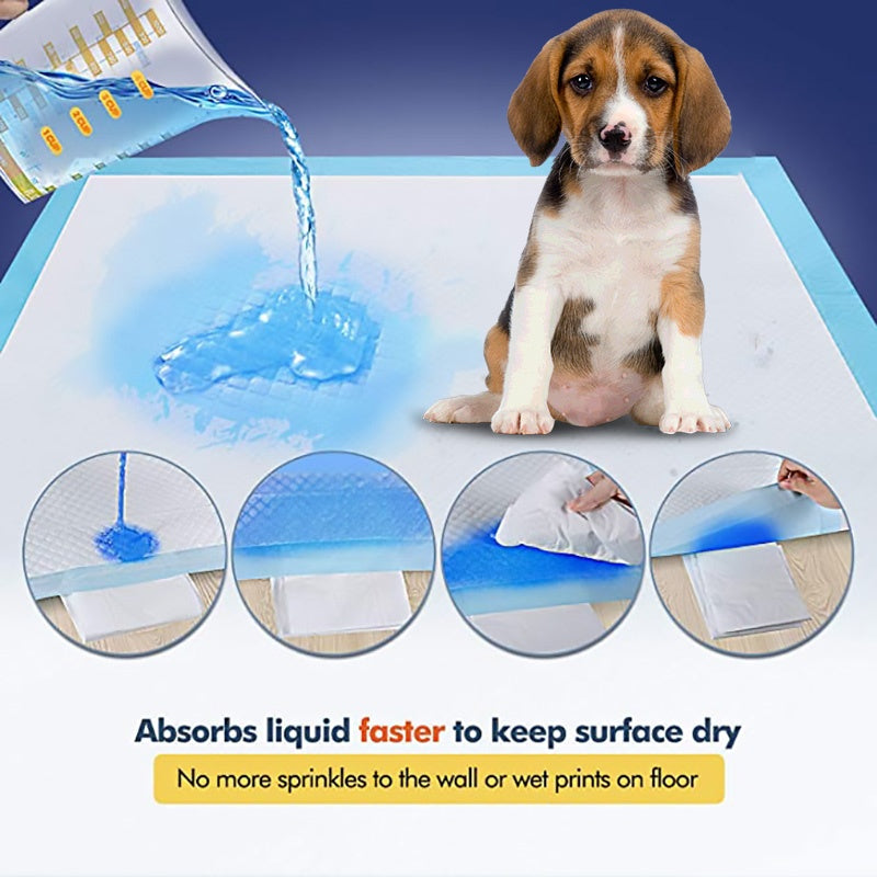 Absorbent Dog Training Pad