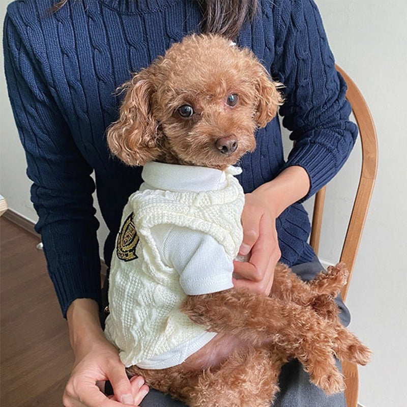Small Dog Small Puppy Schnauzer Bichon Pet Clothes Two-Piece Set