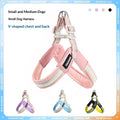 Breathable Rainbow Leash Harness Set for Small-Medium Dogs