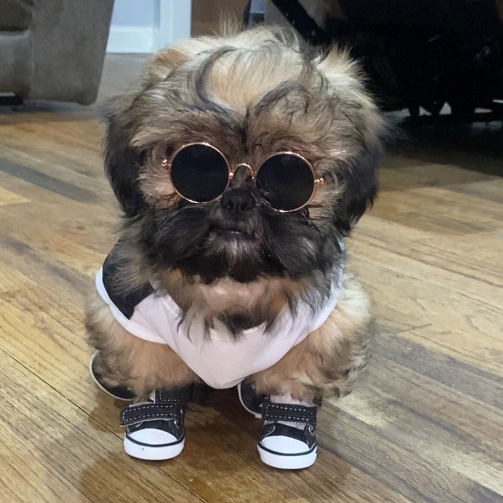 Four-Season Small Dog Shoes
