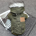 Padded Dog Coat For Small Dogs