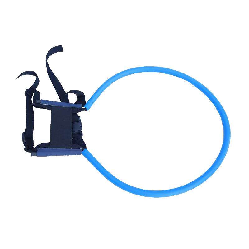 Head Protection Ring For Blind Pets