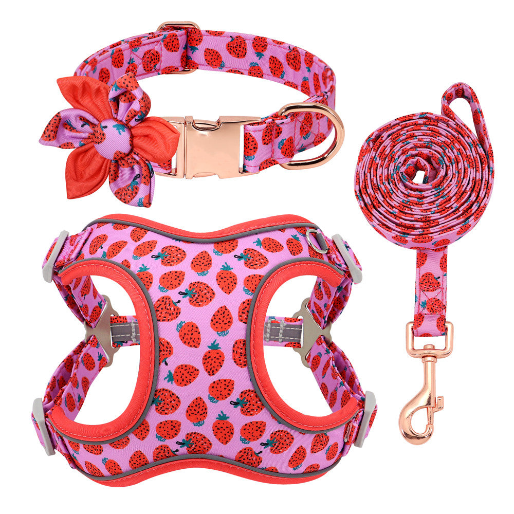Dog Collar Leash And Strap Set