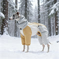 Waterproof Ski-Style Padded Pet Jacket And Hat