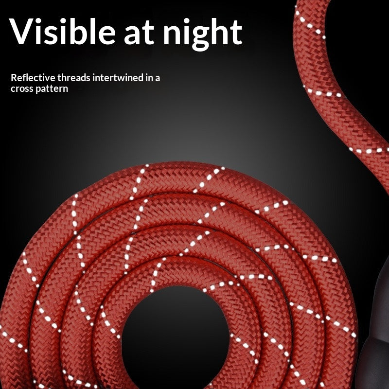 Reflective Pet Leash With Burst-Resistant Webbing
