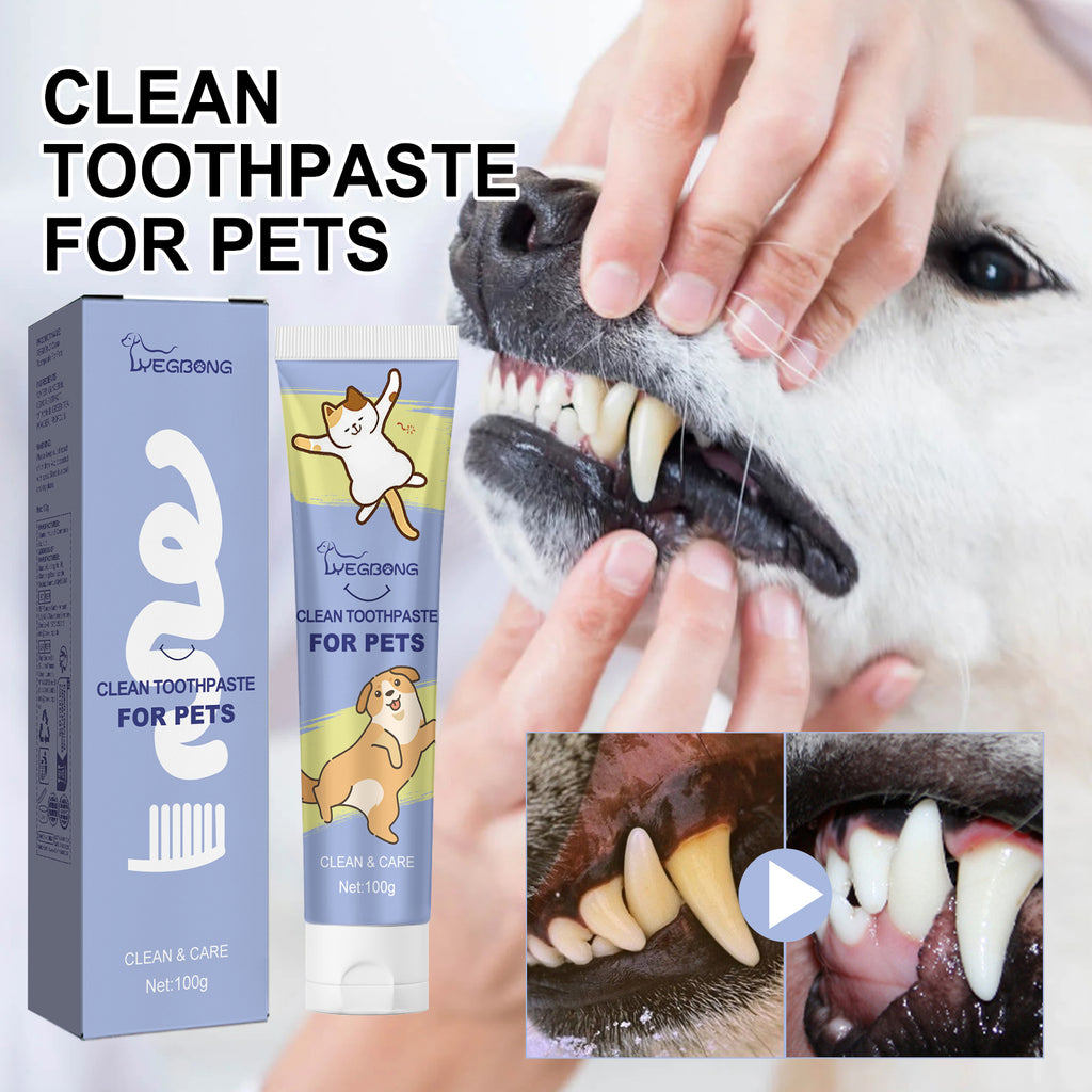 Pet Cleaning Toothpaste 1 0 0Ml-Box