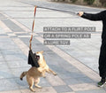 Crazy Horse-Dog Bite Cloth Dog Training Supplies Interactive Cowhide Bite Pet Toy
