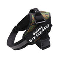 Custom Adjustable Dog Harness