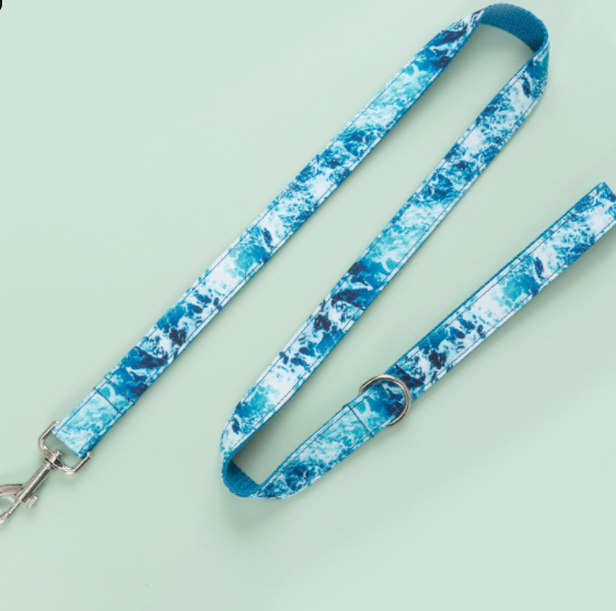 Dog Collar Traction Rope Set