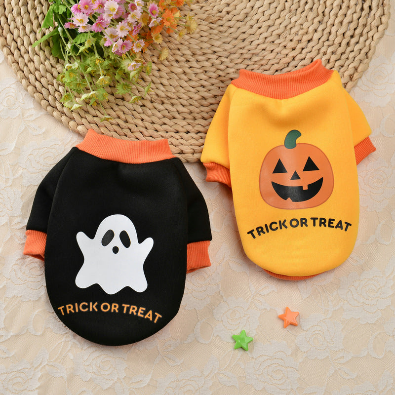 Halloween Pumpkin Skull Small Dog Sweater