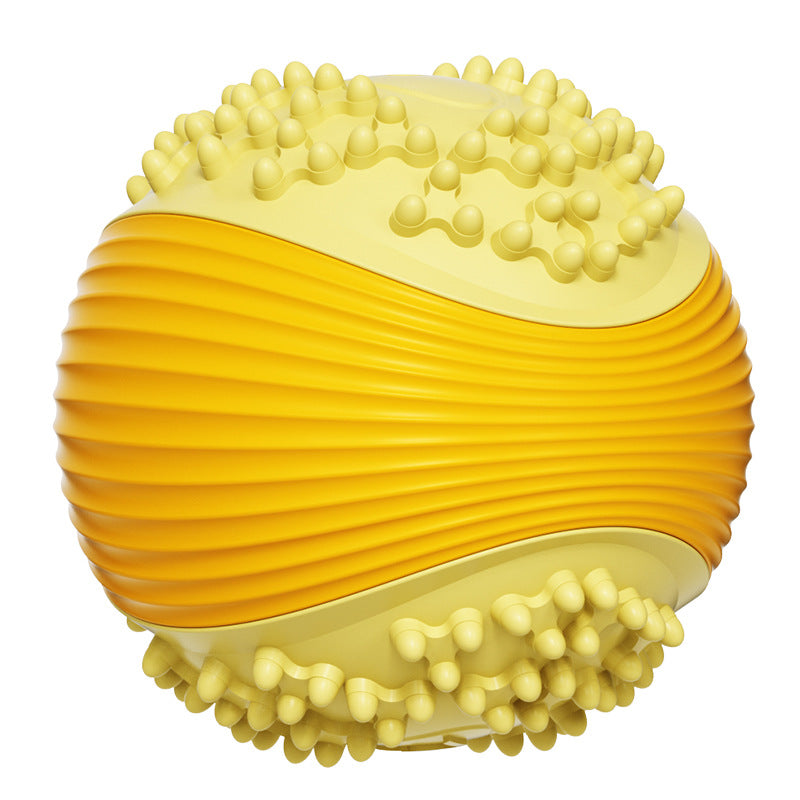 Simple Pet Toy Ball