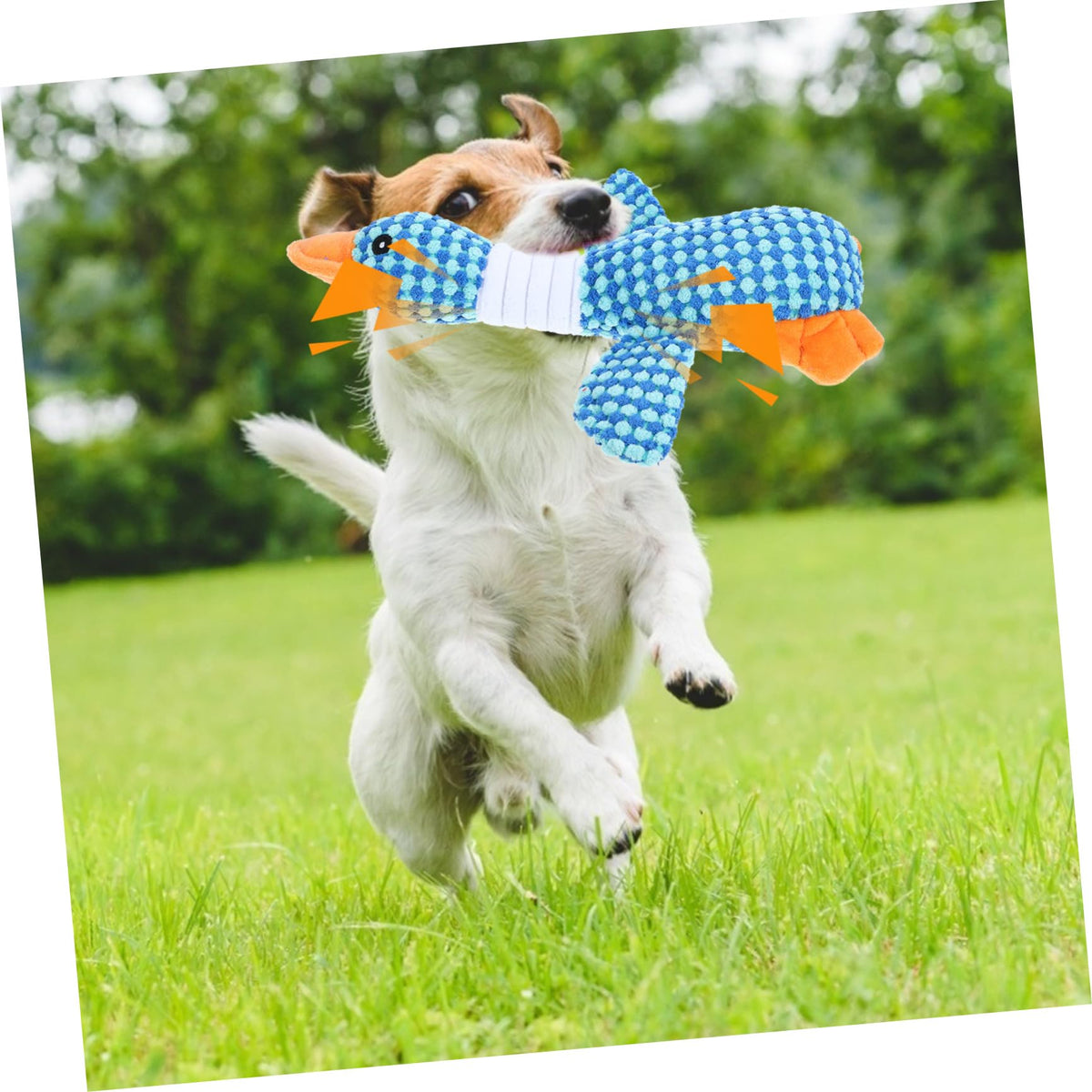 Squeaky Plush Goose Chewing Toy For Dogs