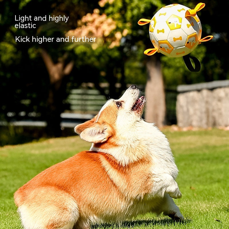 Interactive Dog Football Toy