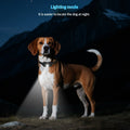 Remote Controlled Dog Barking Deterrent