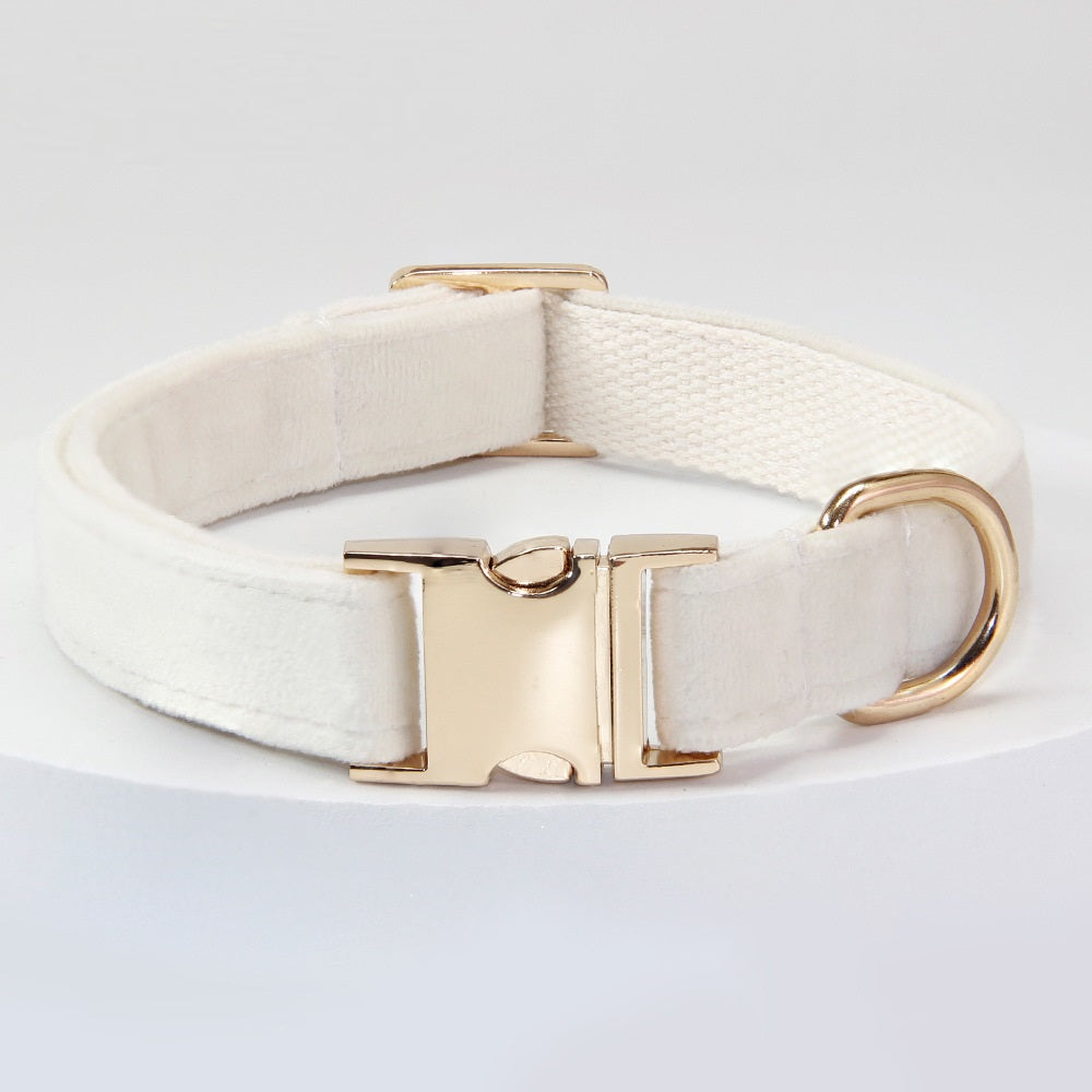 Engraved Anti-Loss Dog Collar And Leash