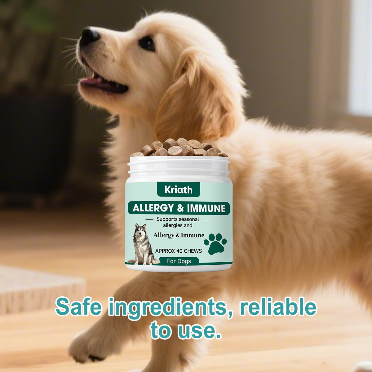 Mild Ingredient Dog Care Chewable Tablets