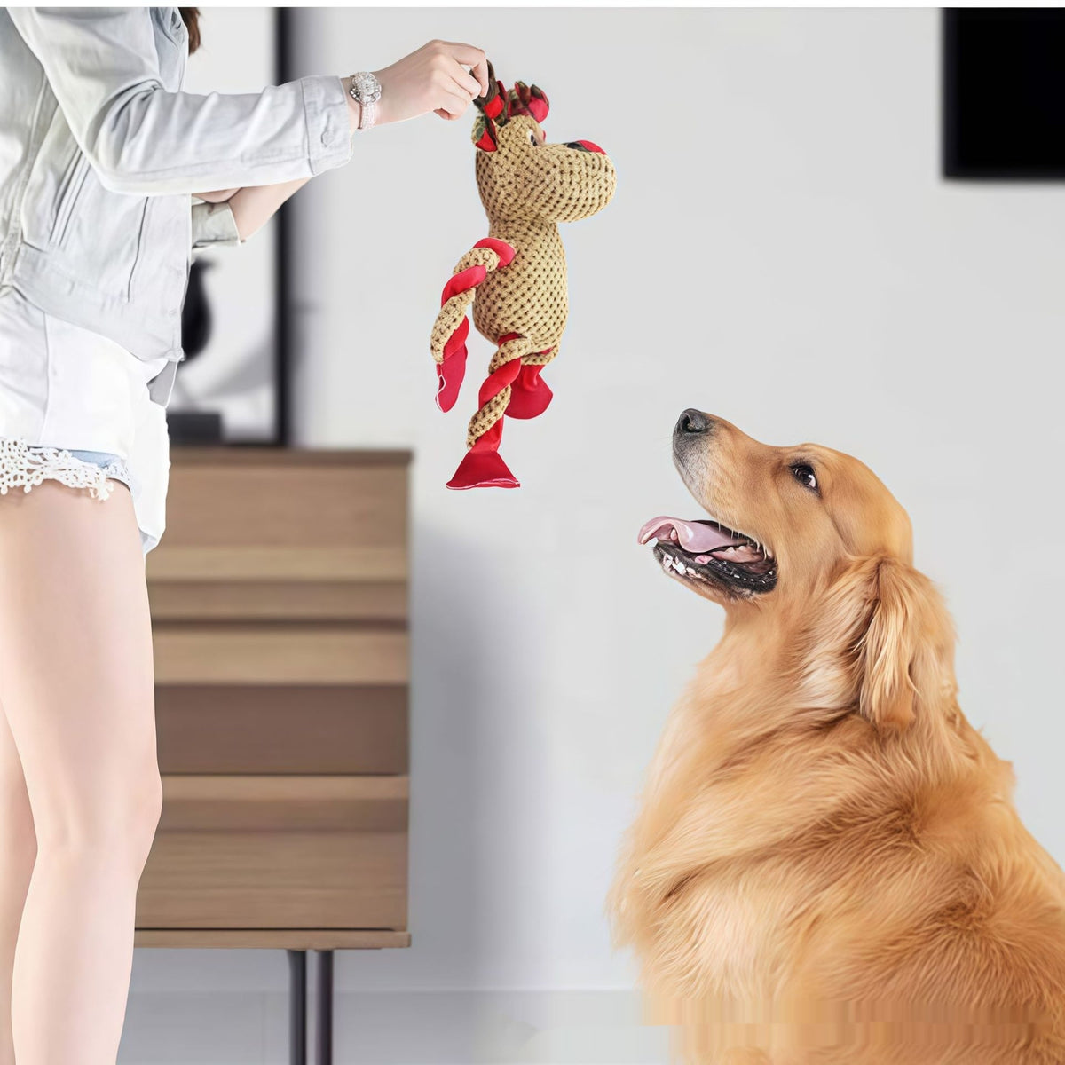 Teething And Dental-Cleaning Pet Christmas Toy