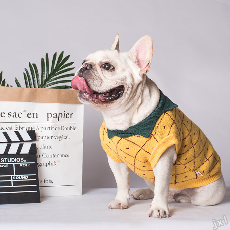Cotton Dog Sweater