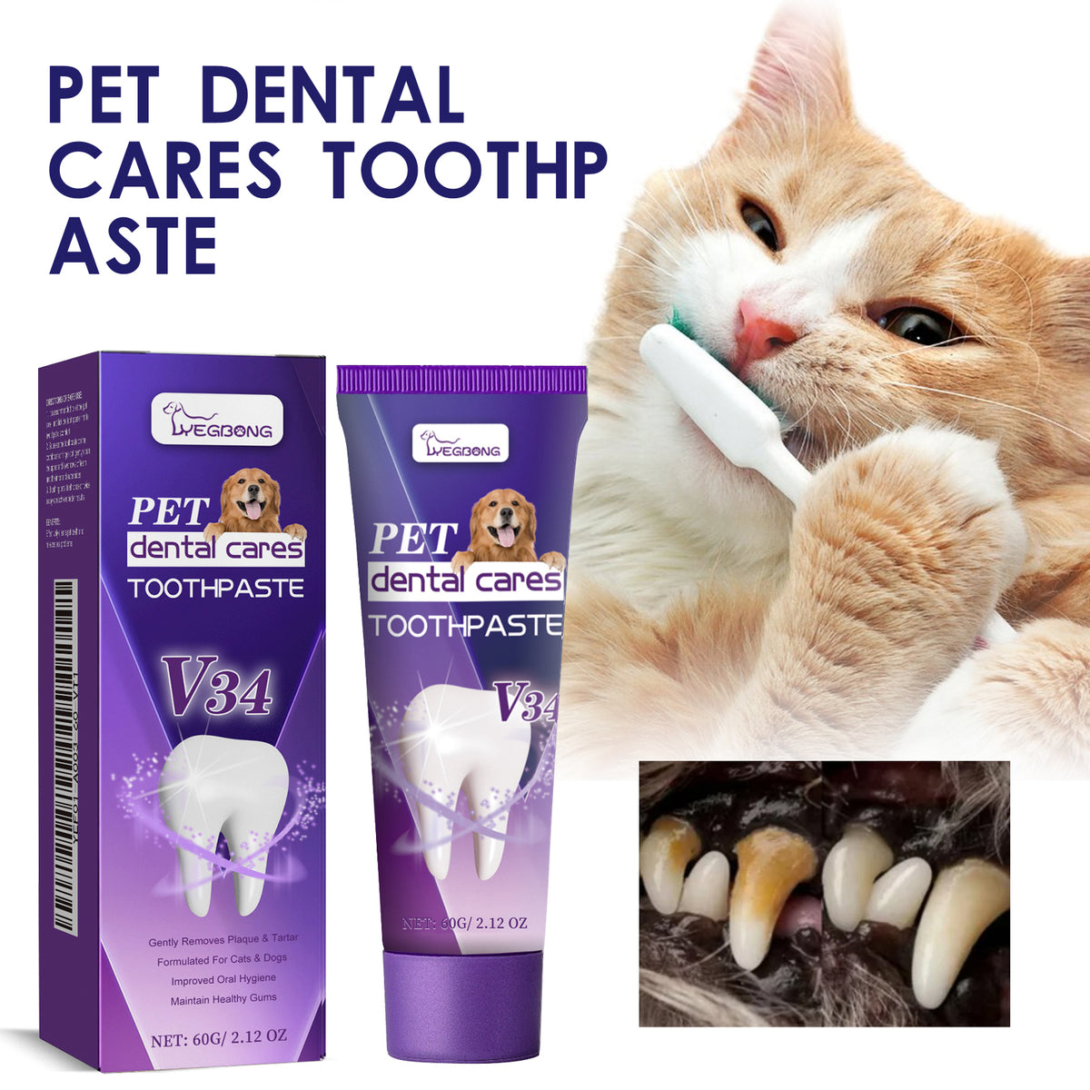 Pet V34 Toothpaste 60G 1Box