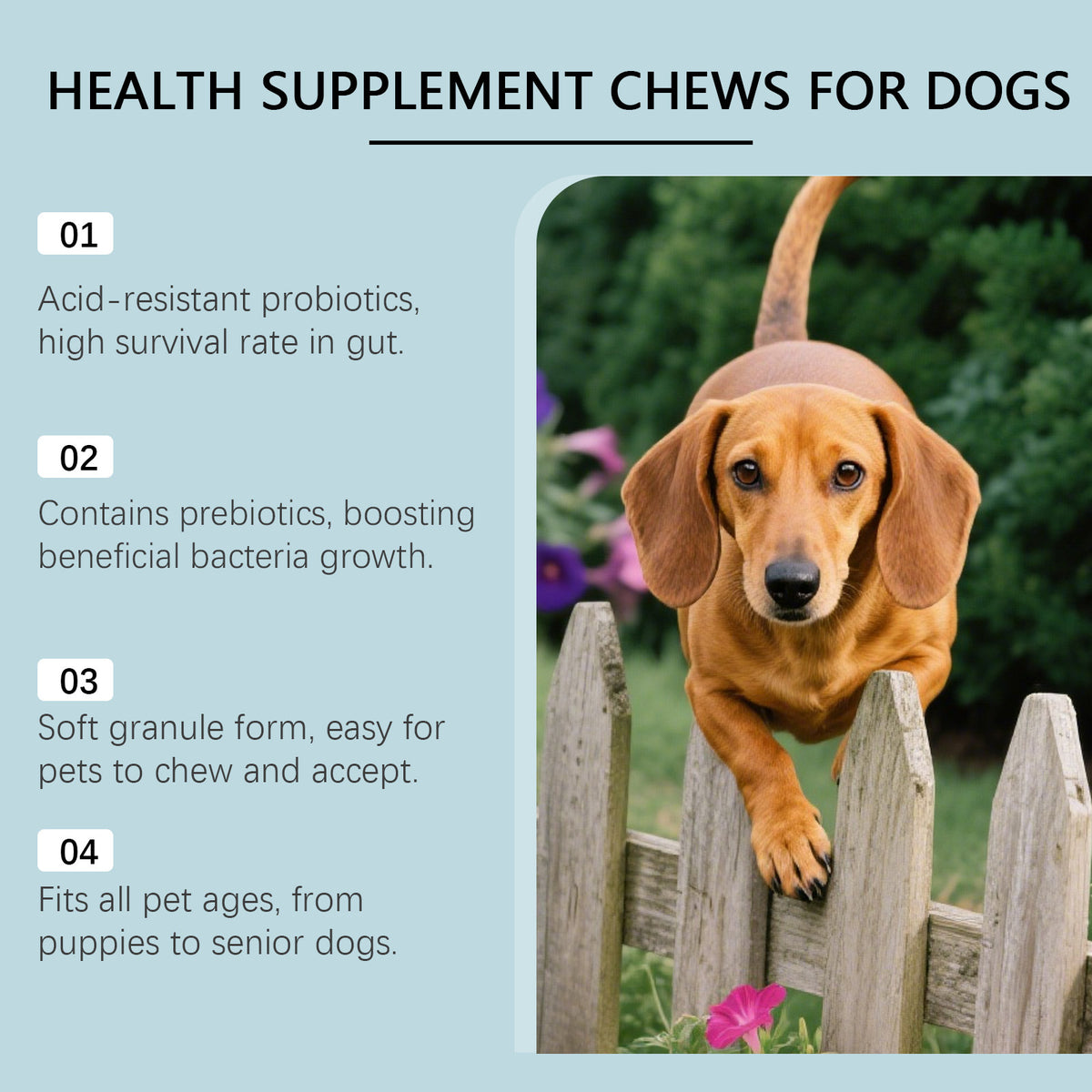 Dog Chewable Tablets 200 g