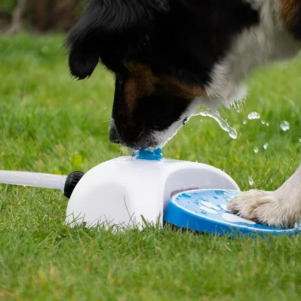 Pet Outdoor Foot Pressure Automatic Water Dispenser