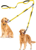 Nylon Anti-Riot Leash For Dogs