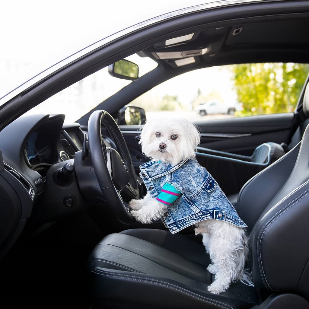 Washed Denim Dog Jacket