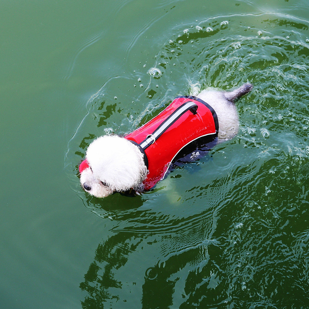 Summer Dog Life Jacket for Swimming