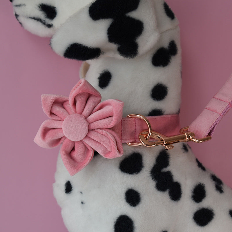 Goose Down Dog Collar Rose Gold Buckle