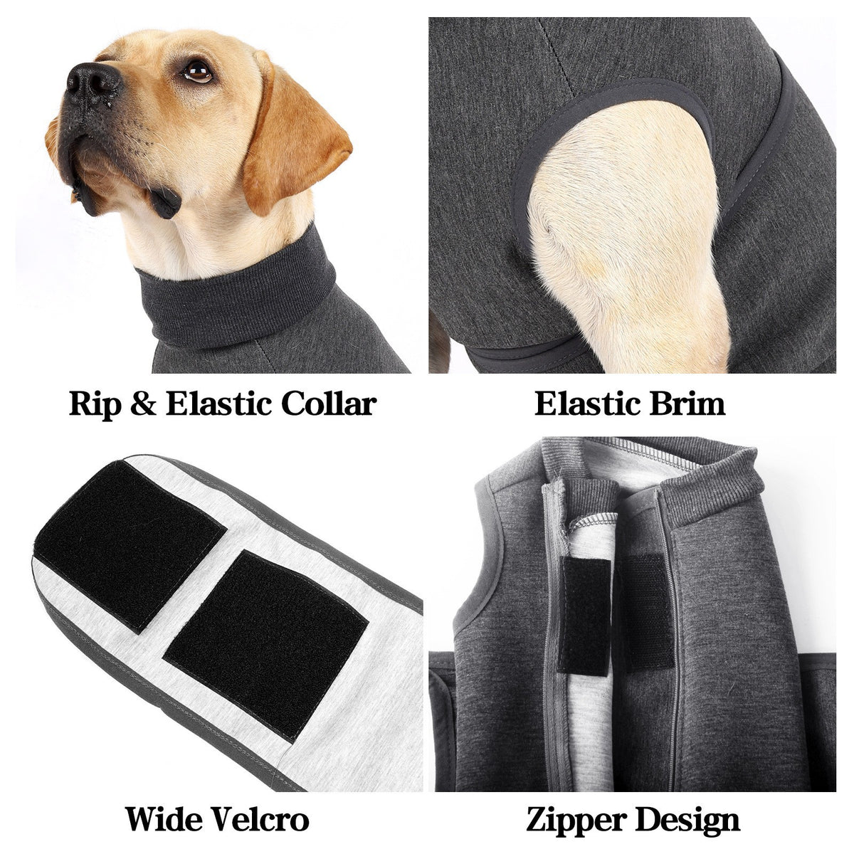 Dark Grey Polyester Pet Double Jacket