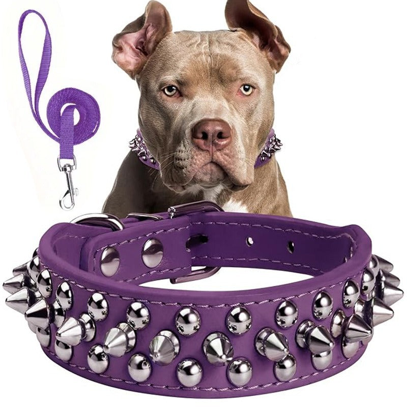 Thickened Pu Leather Leash And Collar Set