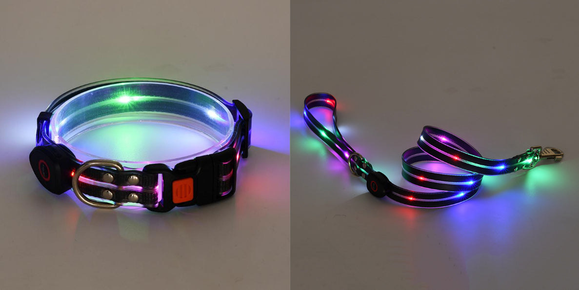 Rechargeable LED Collar and Nylon Leash