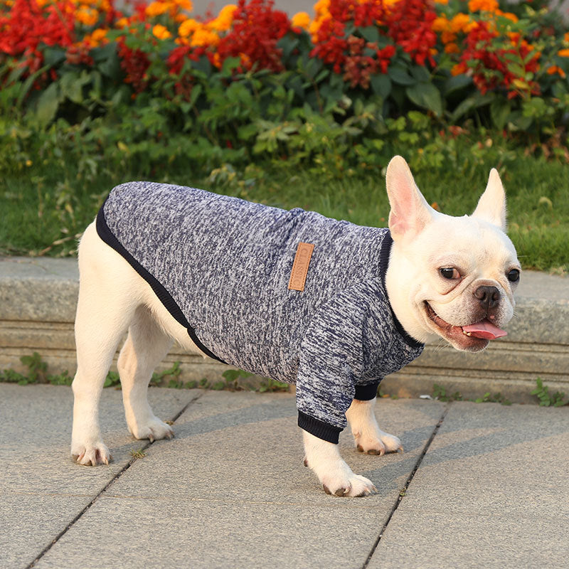 Fall Winter New Style Sweater Two-Legged Clothes Dog Supplies