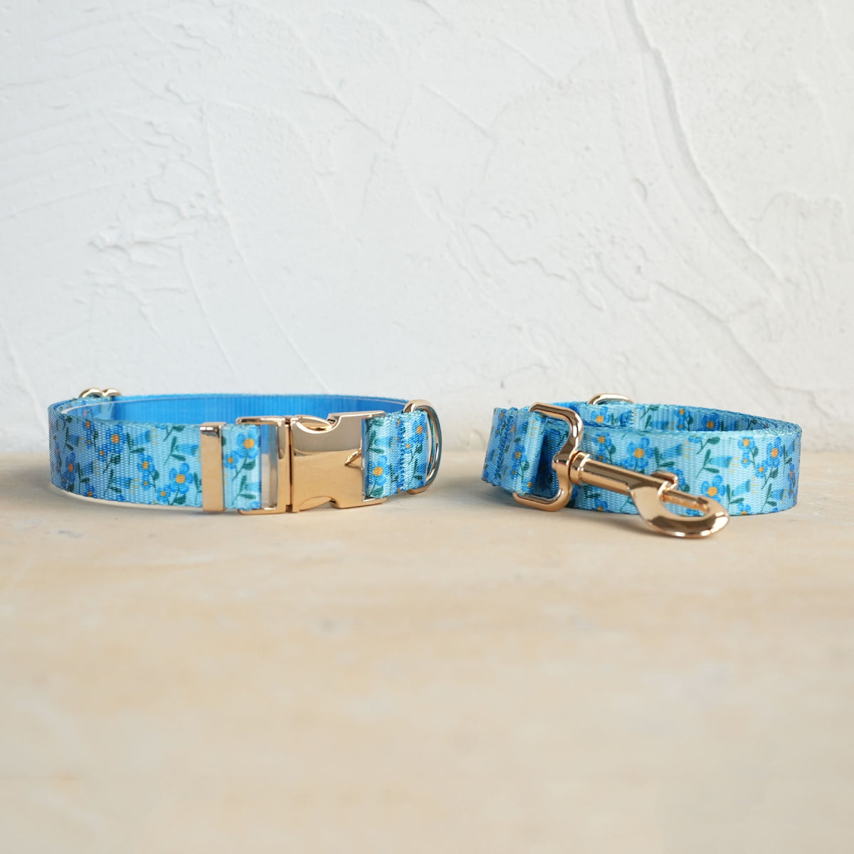 Hardware Buckle Dog Collar and Leash Set