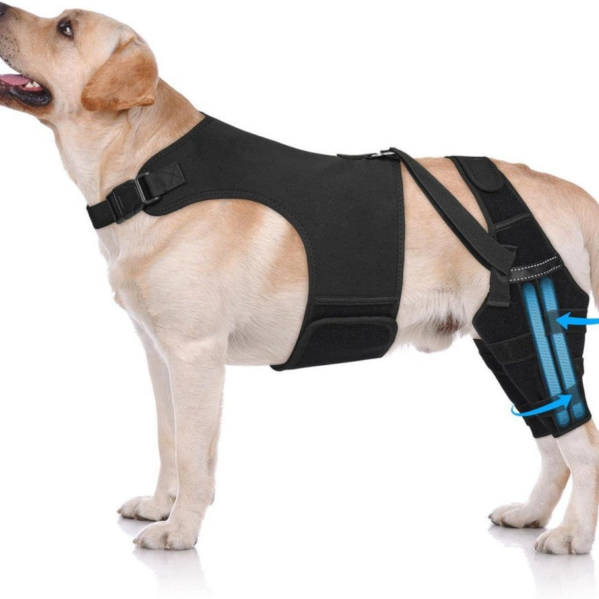 Dog Rear Back And Hind Leg Protective Cover
