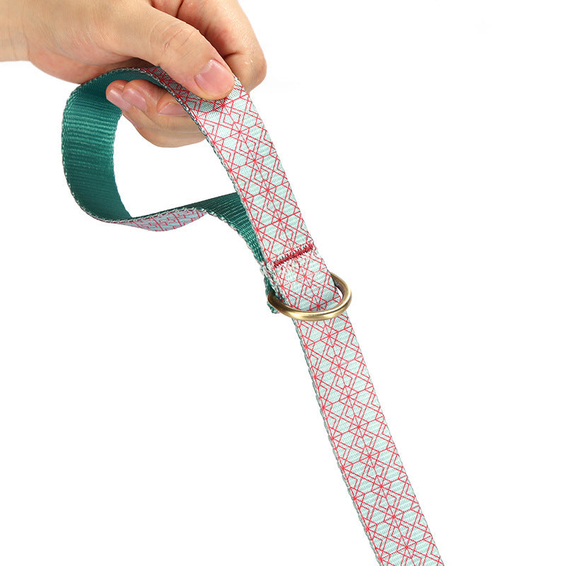 Medium To Large Dog Training Leash