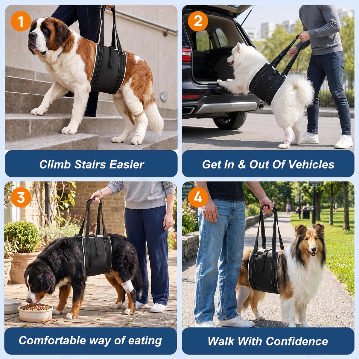 Rear Leg Dog Lift Harness