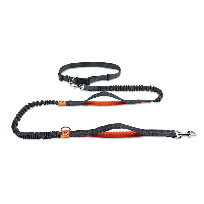 Reflective Double Telescopic Running Dog Leash