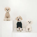 Pet Base Color Contrast Concave-Convex Vertical Clothes