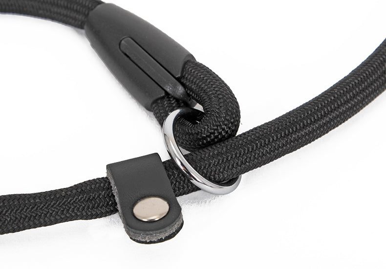 Dog Nylon Double-Headed Collar
